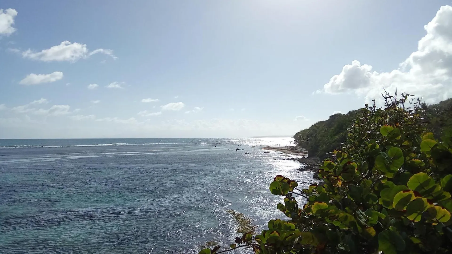 Studio Cosy Dans Un Domaine Tropical Avec Piscine Et Plage 생프랑수아 0*,  과달루프